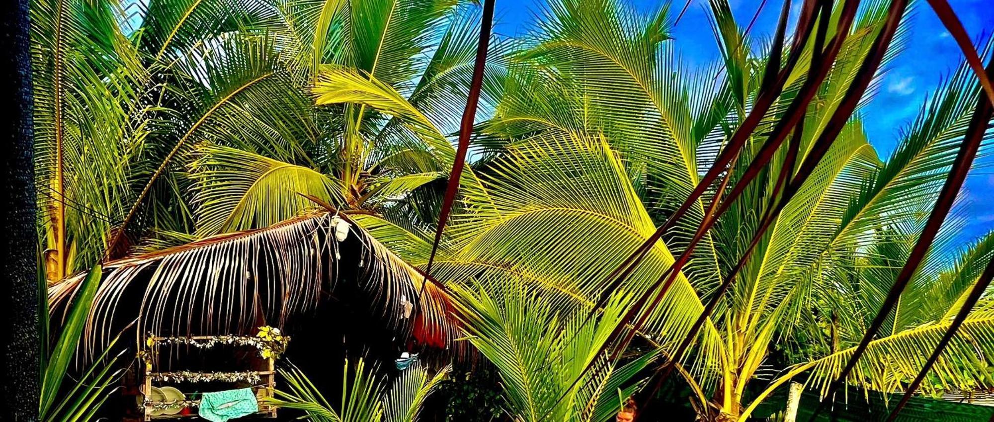 Beachfront Paradise Мануэль-Антонио Экстерьер фото