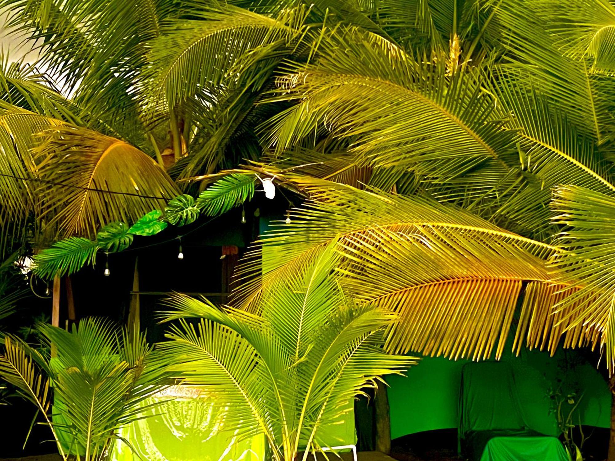 Beachfront Paradise Мануэль-Антонио Экстерьер фото