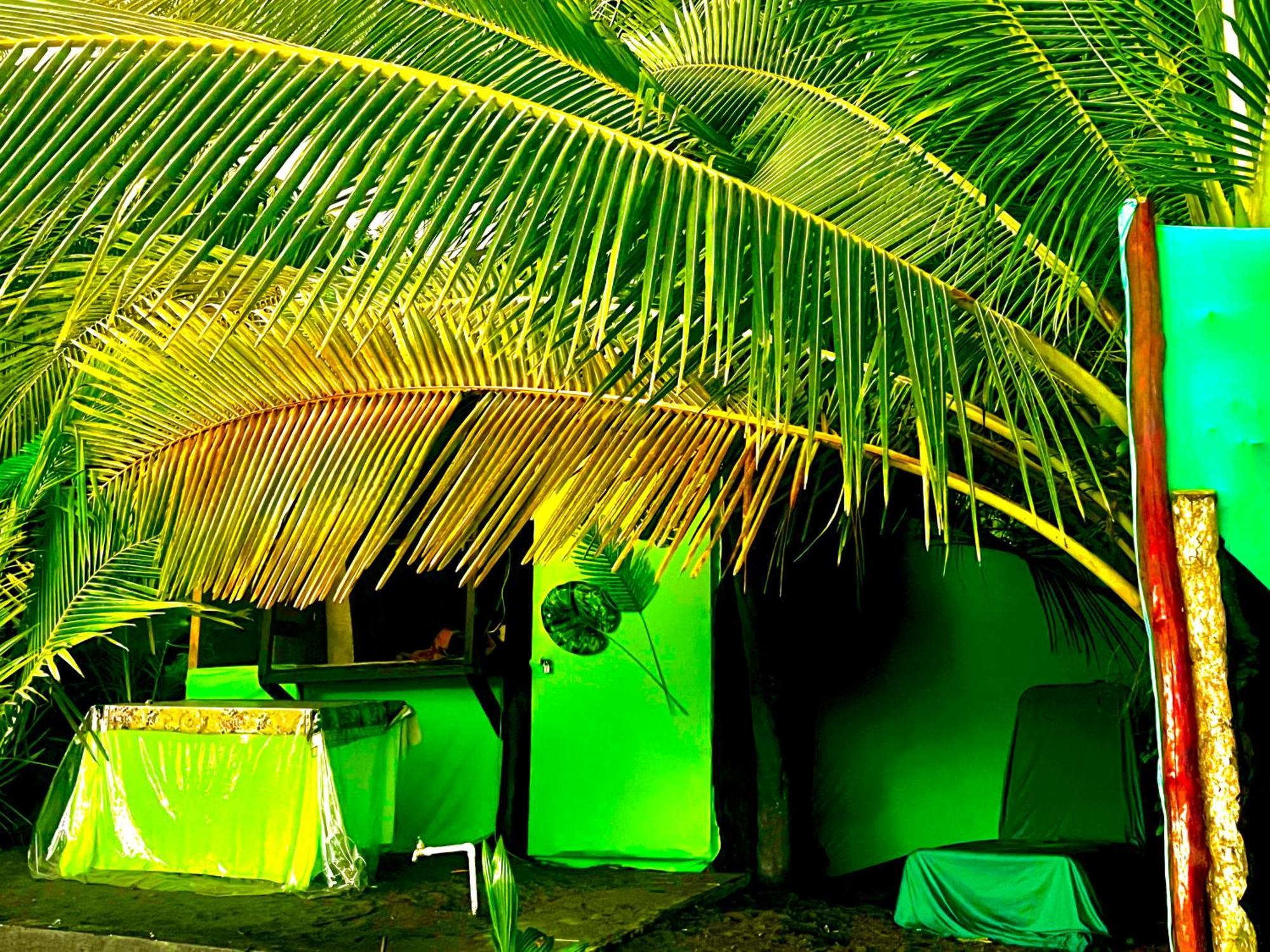 Beachfront Paradise Мануэль-Антонио Экстерьер фото
