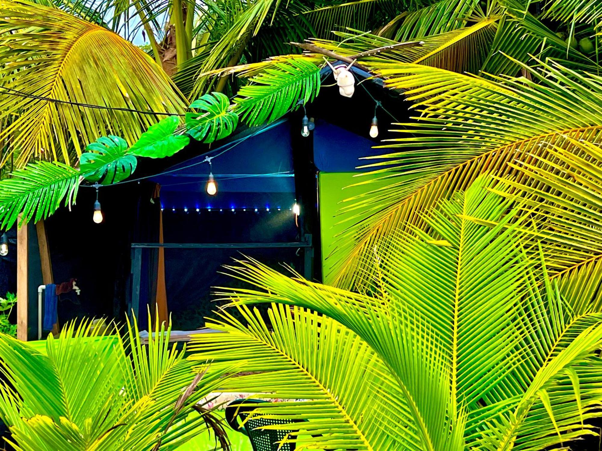 Beachfront Paradise Мануэль-Антонио Экстерьер фото